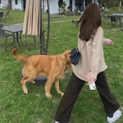 很高兴遇见·你
