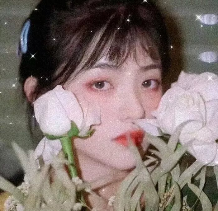 霹雳玄蒙纪
